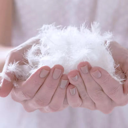 Down Feather 5Star Luxury Hotel King Pillow